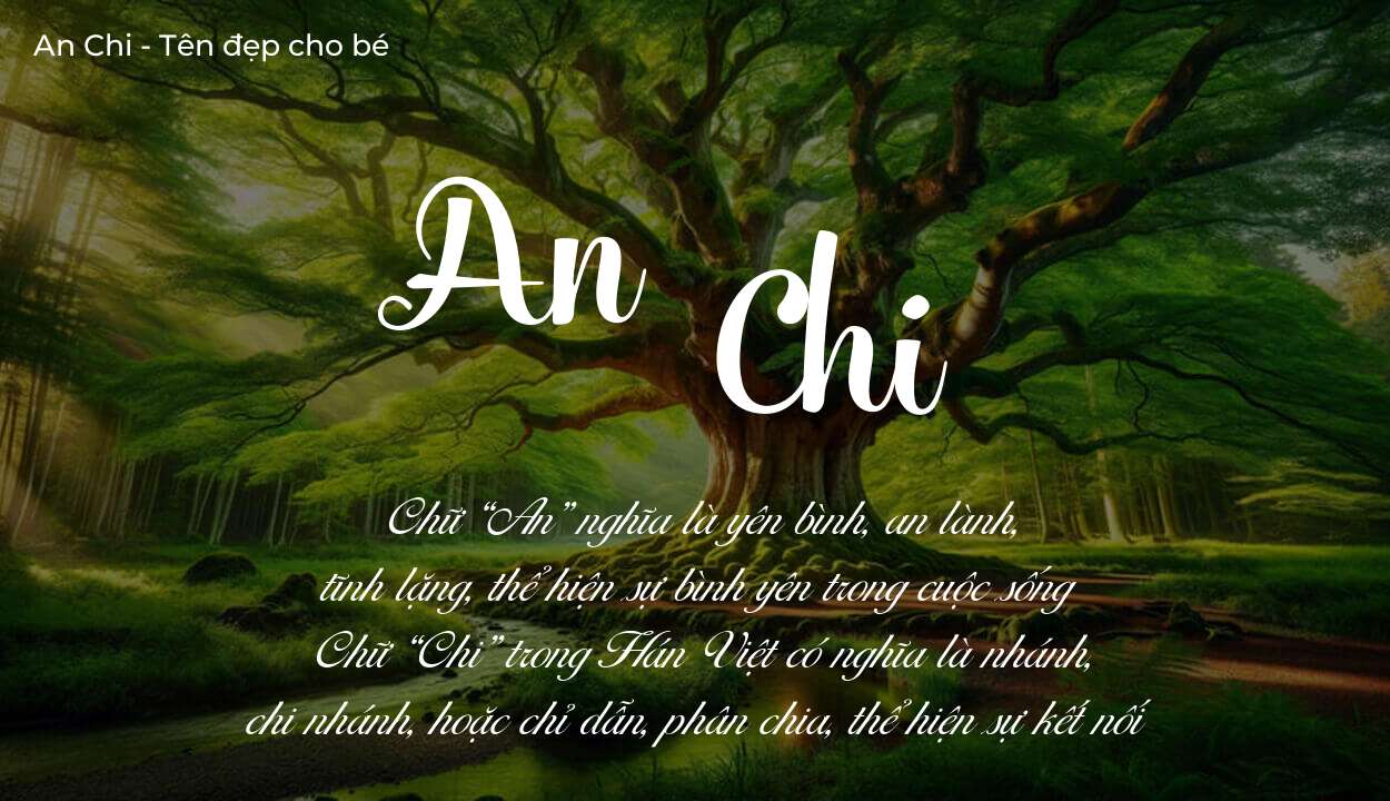 Tên An Chi có ý nghĩa gì trong phong thủy và thần số học?