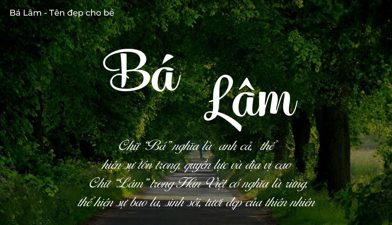 Tên Bá Lâm có ý nghĩa gì? Bật mí vận mệnh và số phận tên này