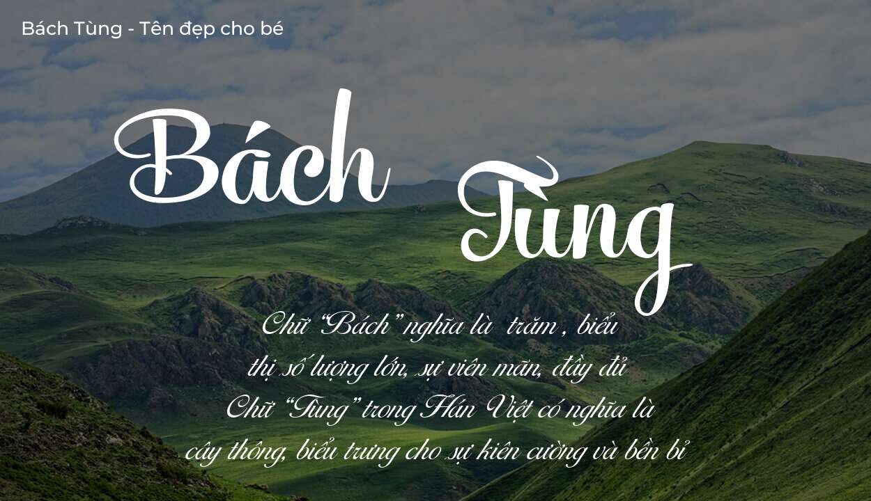 Tên Bách Tùng có ý nghĩa gì? Phân tích tính cách và vận mệnh