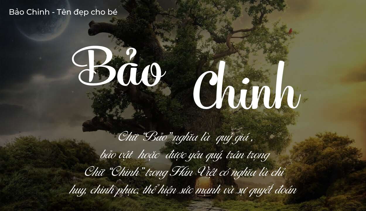 Tên Bảo Chinh có ý nghĩa gì? Tên Bảo Chinh sẽ phù hợp cho ai?