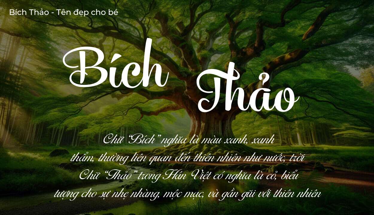 Các điều bố mẹ gửi gắm vào con thông qua ý nghĩa tên Bích Thảo