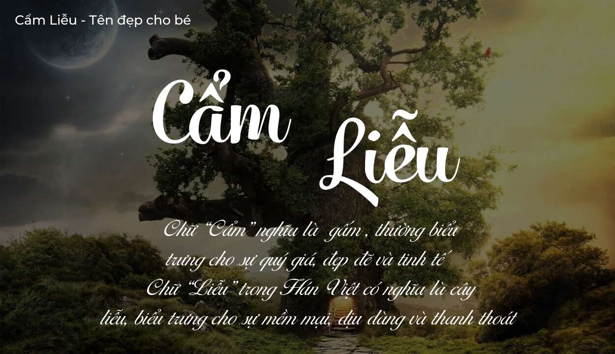 Ý nghĩa tên Cẩm Liễu, thuộc mệnh gì tính cách và vận mệnh