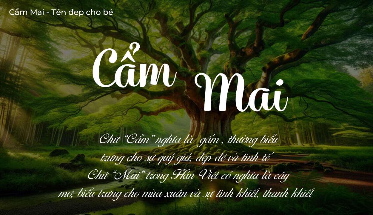 Ý nghĩa tên Cẩm Mai, đặt tên con Cẩm Mai bố mẹ muốn gửi gắm gì?