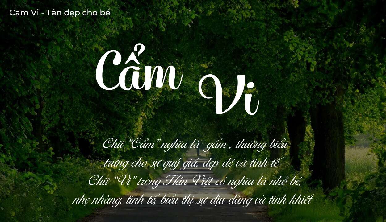 Tên Cẩm Vi có ý nghĩa gì? Phân tích tính cách và vận mệnh