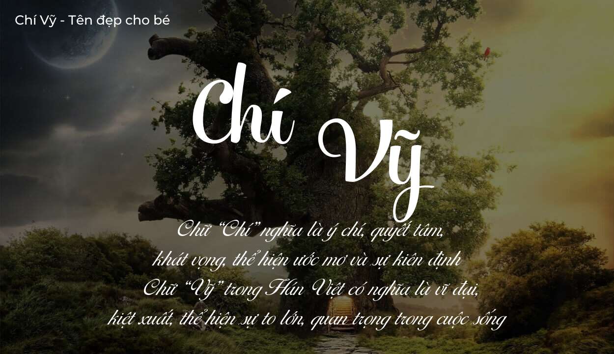 Ý nghĩa tên Chí Vỹ là gì? Tên sẽ hợp với người có tính cách thế nào?