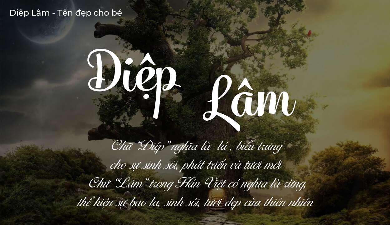 Tên Diệp Lâm có ý nghĩa gì? Tên Diệp Lâm sẽ phù hợp cho ai?