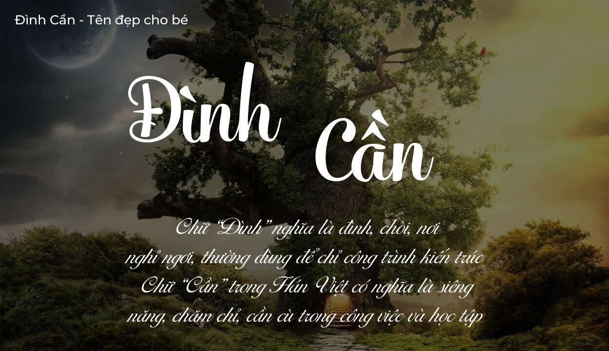 Hé lộ ý nghĩa tên Đình Cần, các tích cách ẩn trong tên Đình Cần?