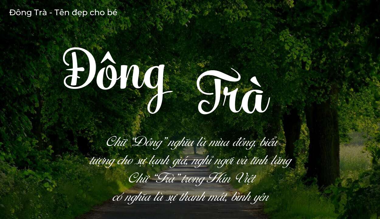 Ý nghĩa tên Đông Trà, tính cách và vận mệnh của tên Đông Trà sẽ ra sao?