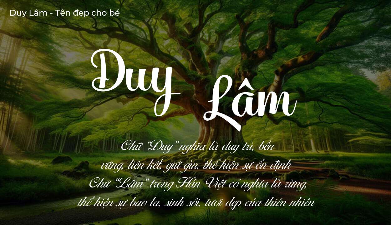 Hé lộ ý nghĩa tên Duy Lâm, các tích cách ẩn trong tên Duy Lâm?