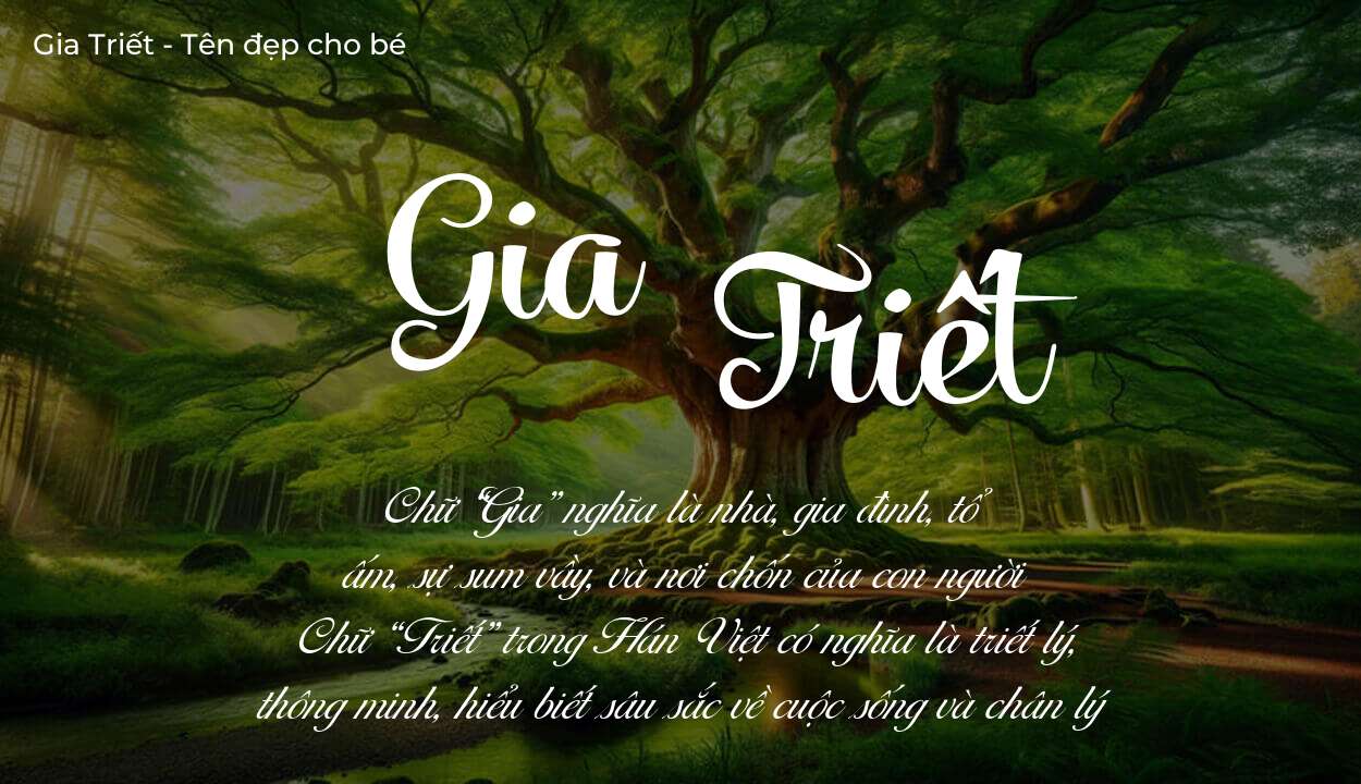 Tên Gia Triết có ý nghĩa gì? Tên Gia Triết sẽ phù hợp cho ai?