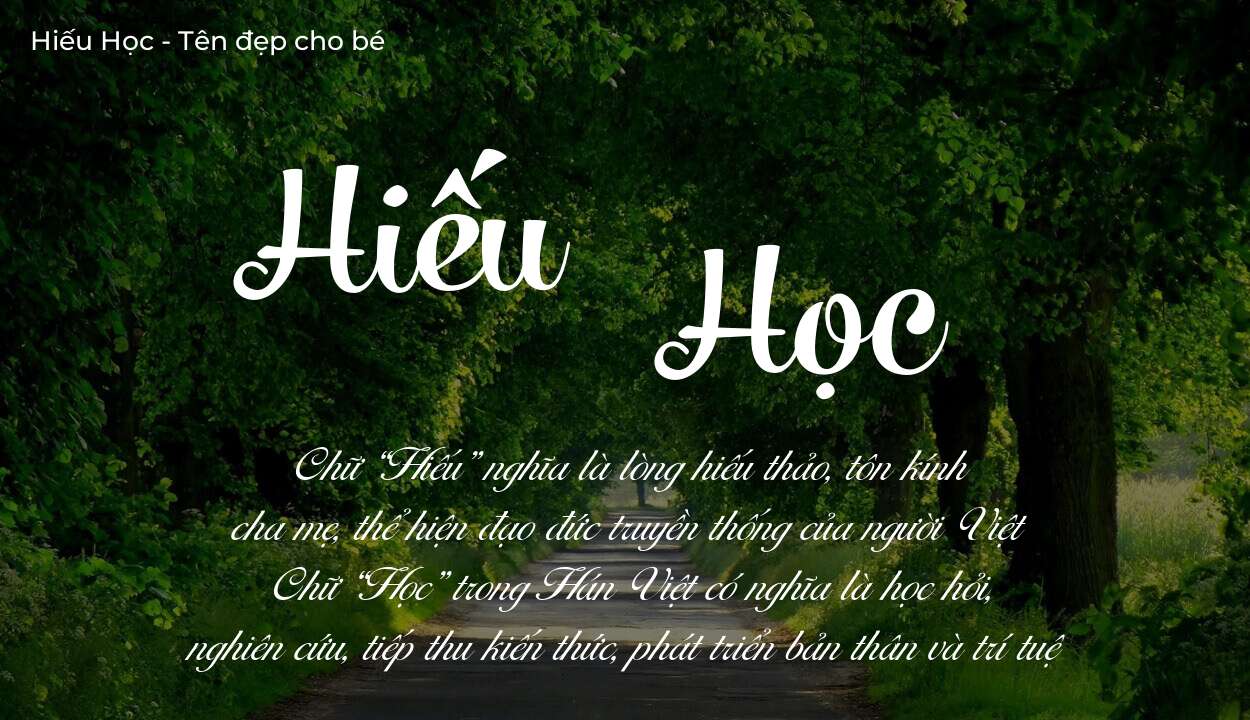 Tên Hiếu Học có ý nghĩa gì? Tên Hiếu Học sẽ phù hợp cho ai?