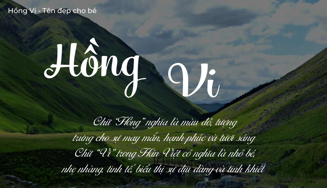 Tên Hồng Vi có ý nghĩa gì trong phong thủy và thần số học?