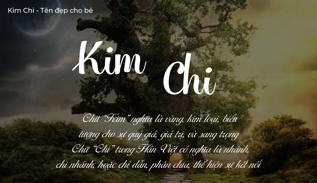 Ý nghĩa tên Kim Chi, tính cách, vận mệnh và sẽ ra sao?