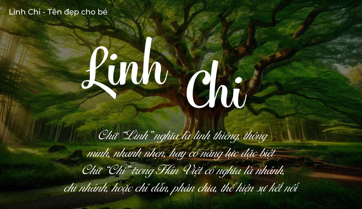 Tên Linh Chi có ý nghĩa gì? Phân tích tính cách và vận mệnh