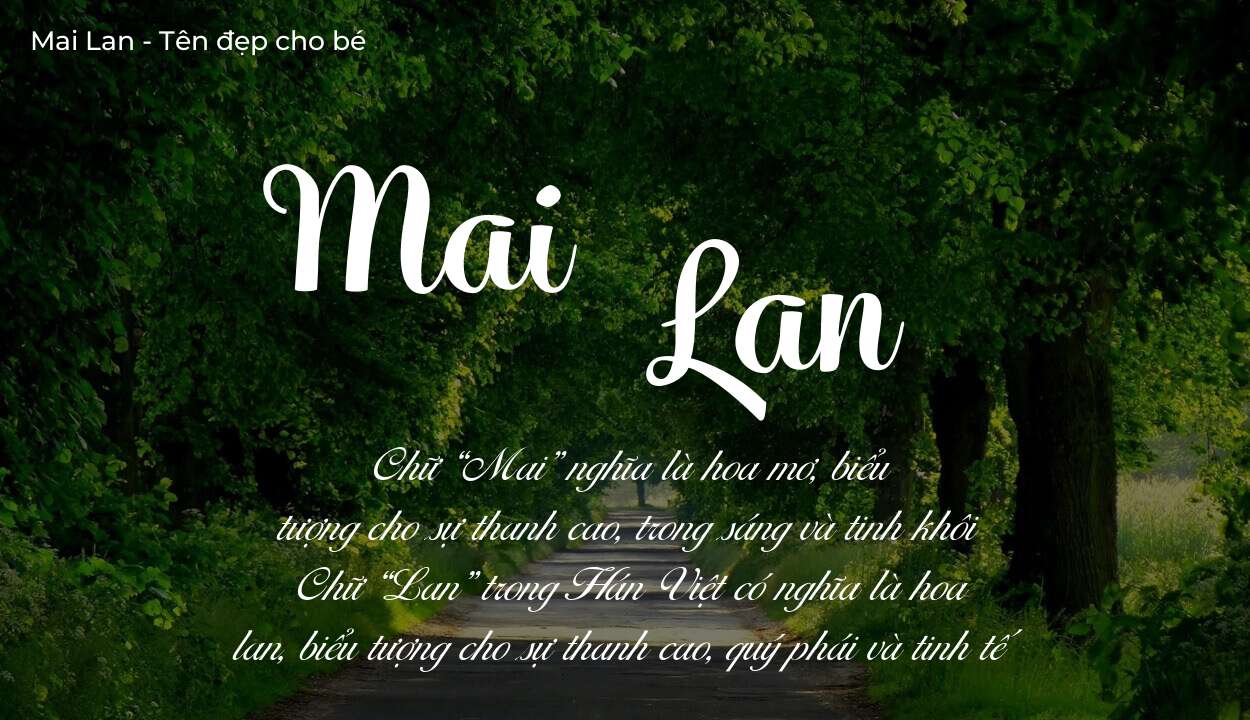 Khám phá ý nghĩa tên Mai Lan, các điều bất ngờ bạn chưa biết