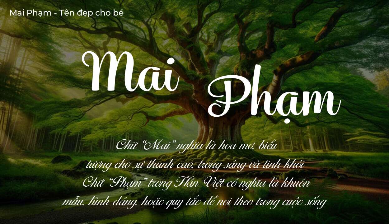 Tên Mai Phạm có ý nghĩa gì? Tên Mai Phạm sẽ phù hợp cho ai?