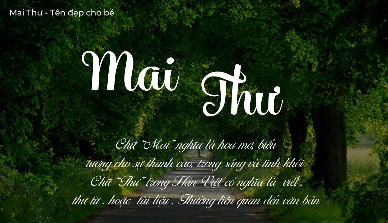 Các điều bố mẹ gửi gắm vào con thông qua ý nghĩa tên Mai Thư