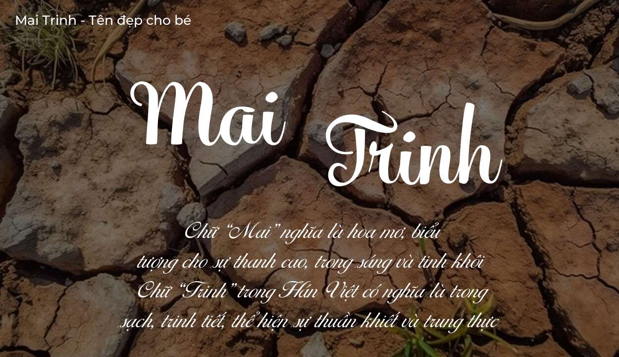 Tên Mai Trinh có ý nghĩa gì? Phân tích tính cách và vận mệnh