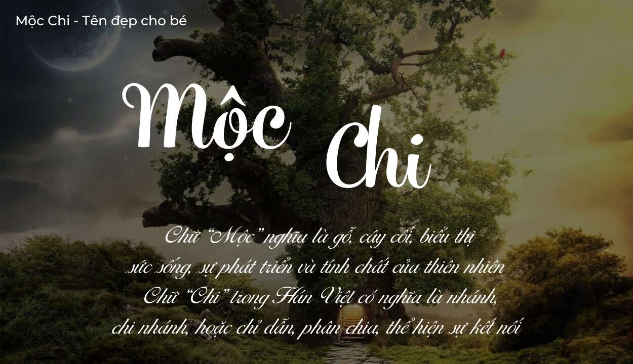 Tên Mộc Chi có ý nghĩa gì? Phân tích tính cách và vận mệnh