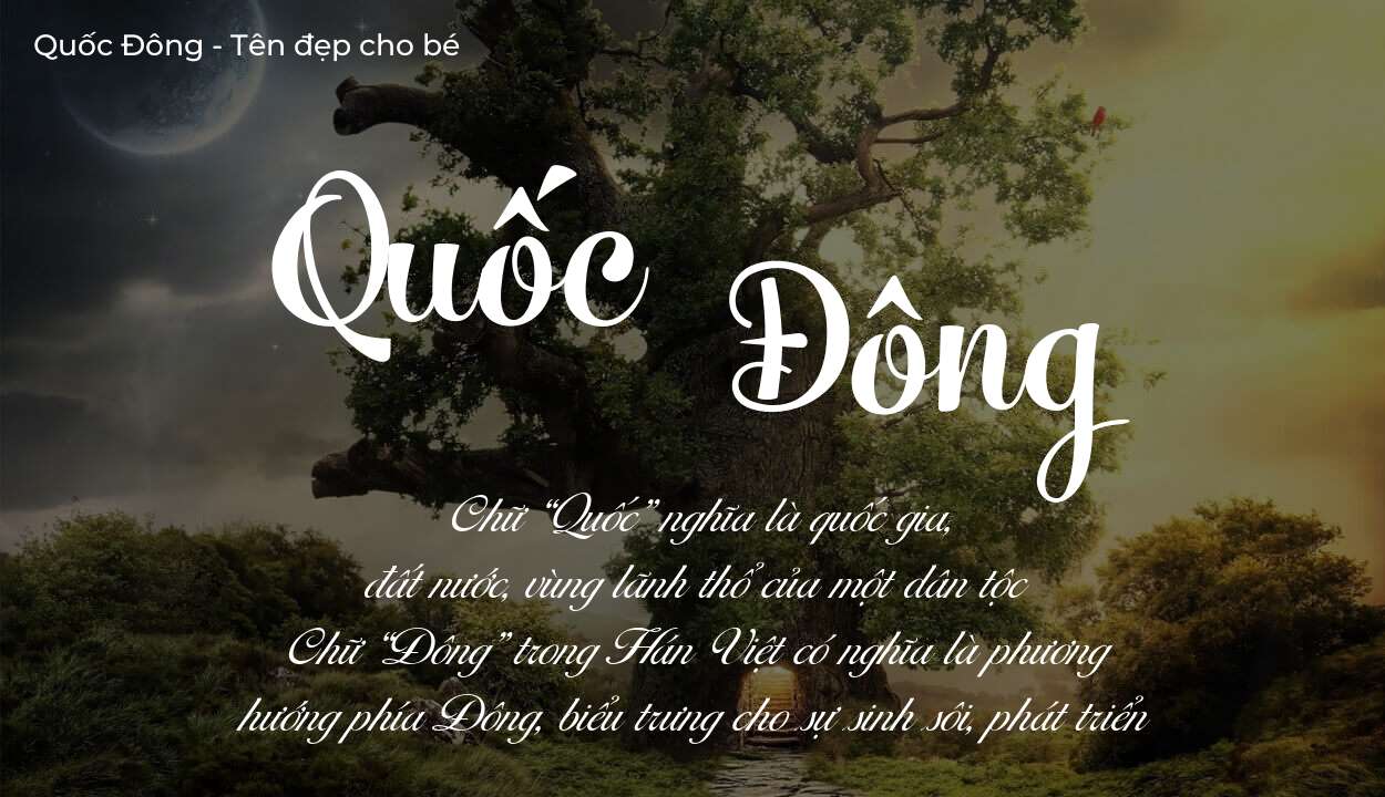 Hé lộ ý nghĩa tên Quốc Đông, các tích cách ẩn trong tên Quốc Đông?