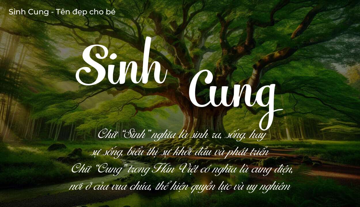 Khám phá ý nghĩa tên Sinh Cung, các điều bất ngờ bạn chưa biết