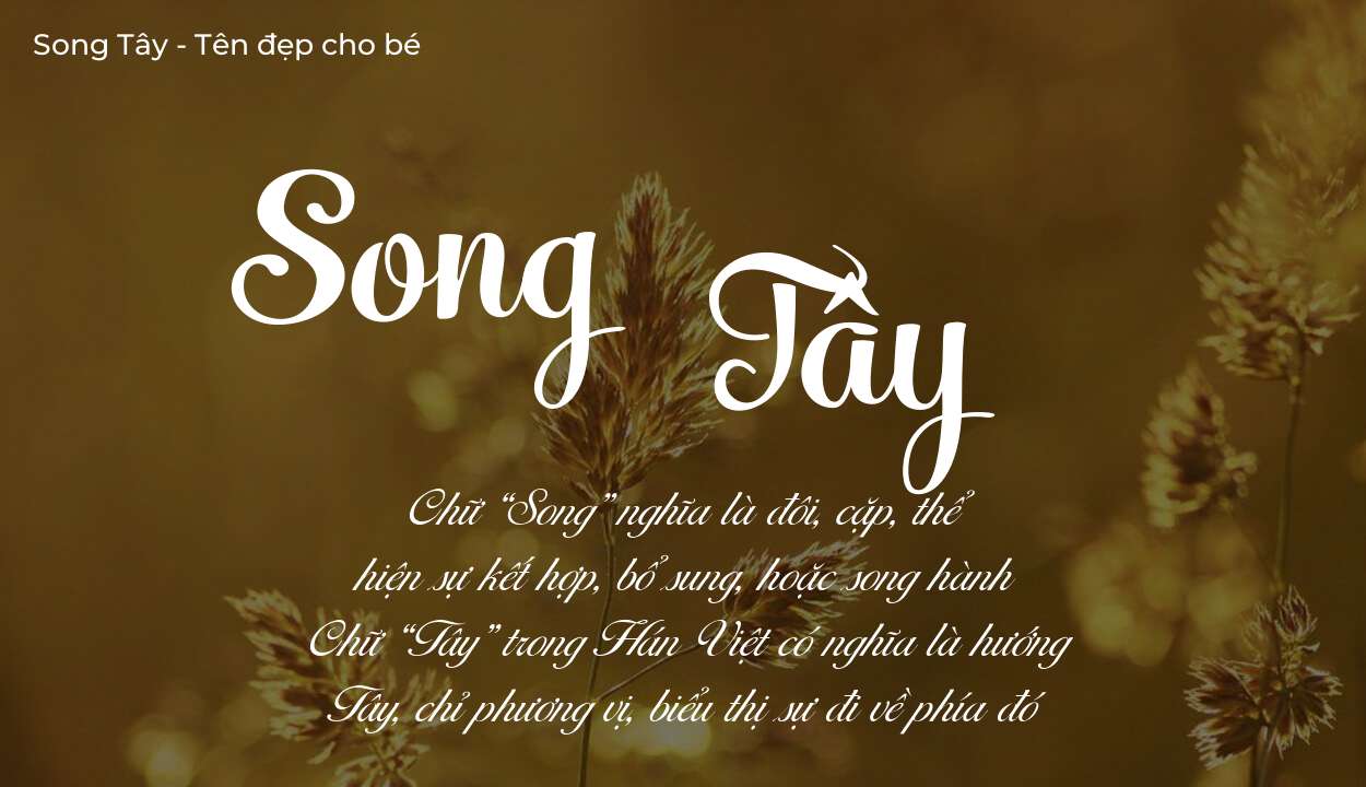 Ý nghĩa tên Song Tây, tính cách, vận mệnh và sẽ ra sao?