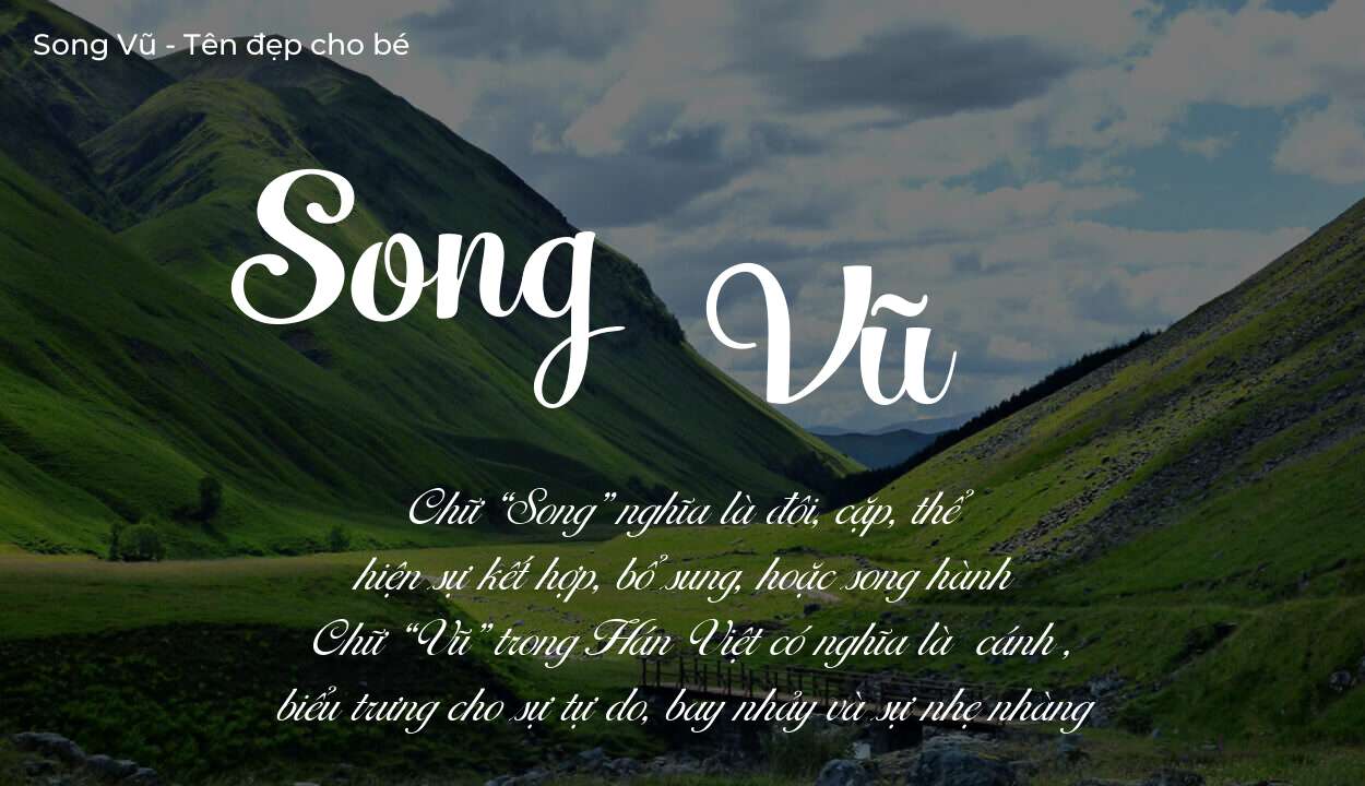 Ý nghĩa tên Song Vũ là gì? Tên sẽ hợp với người có tính cách thế nào?