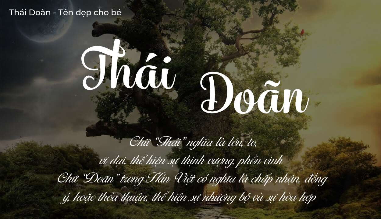 Hé lộ ý nghĩa tên Thái Doãn, các tích cách ẩn trong tên Thái Doãn?