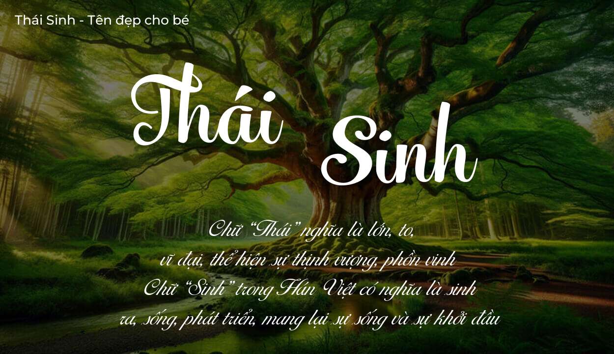 Tên Thái Sinh có ý nghĩa gì? Tên Thái Sinh sẽ phù hợp cho ai?