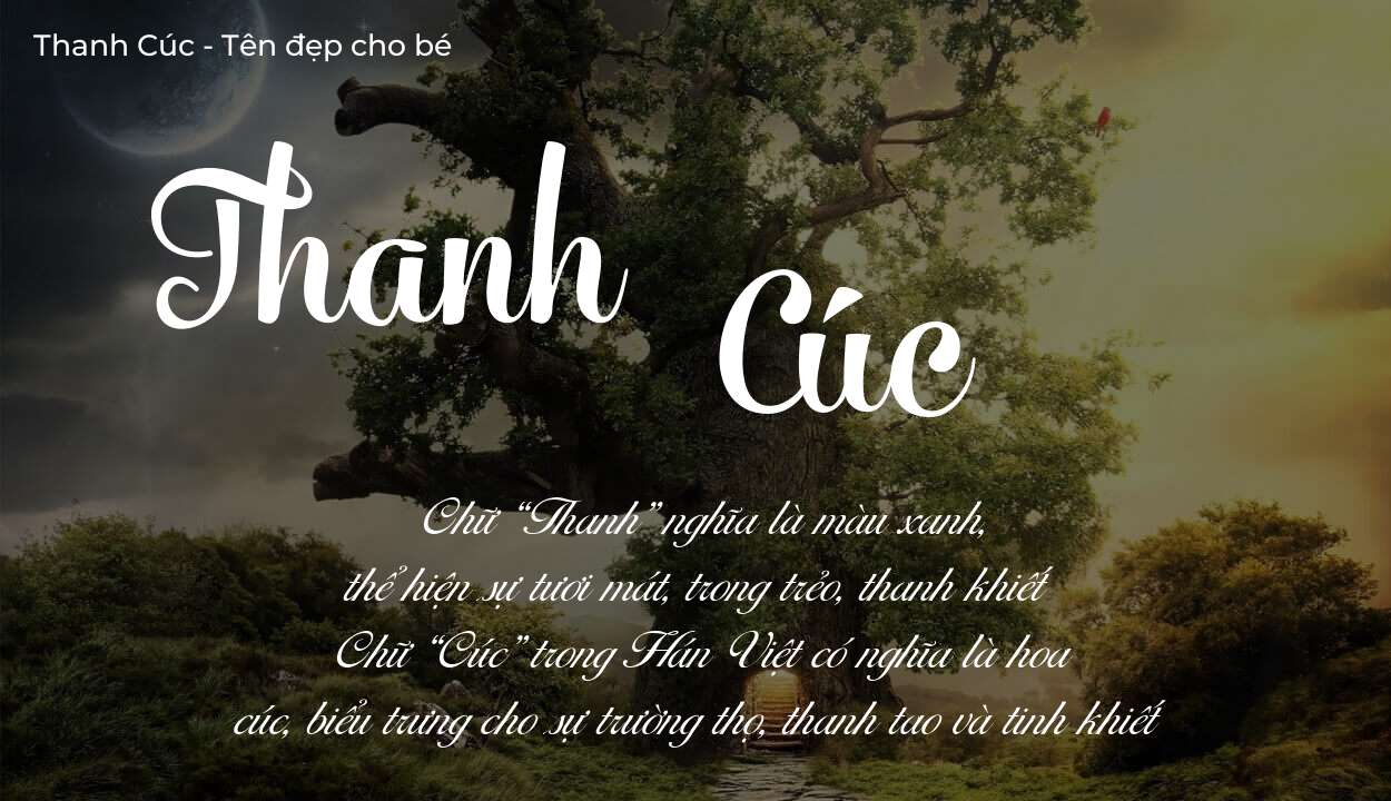 Tên Thanh Cúc có ý nghĩa gì? Tên Thanh Cúc sẽ phù hợp cho ai?