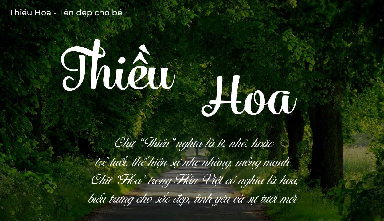 Khám phá ý nghĩa tên Thiều Hoa, các điều bất ngờ bạn chưa biết