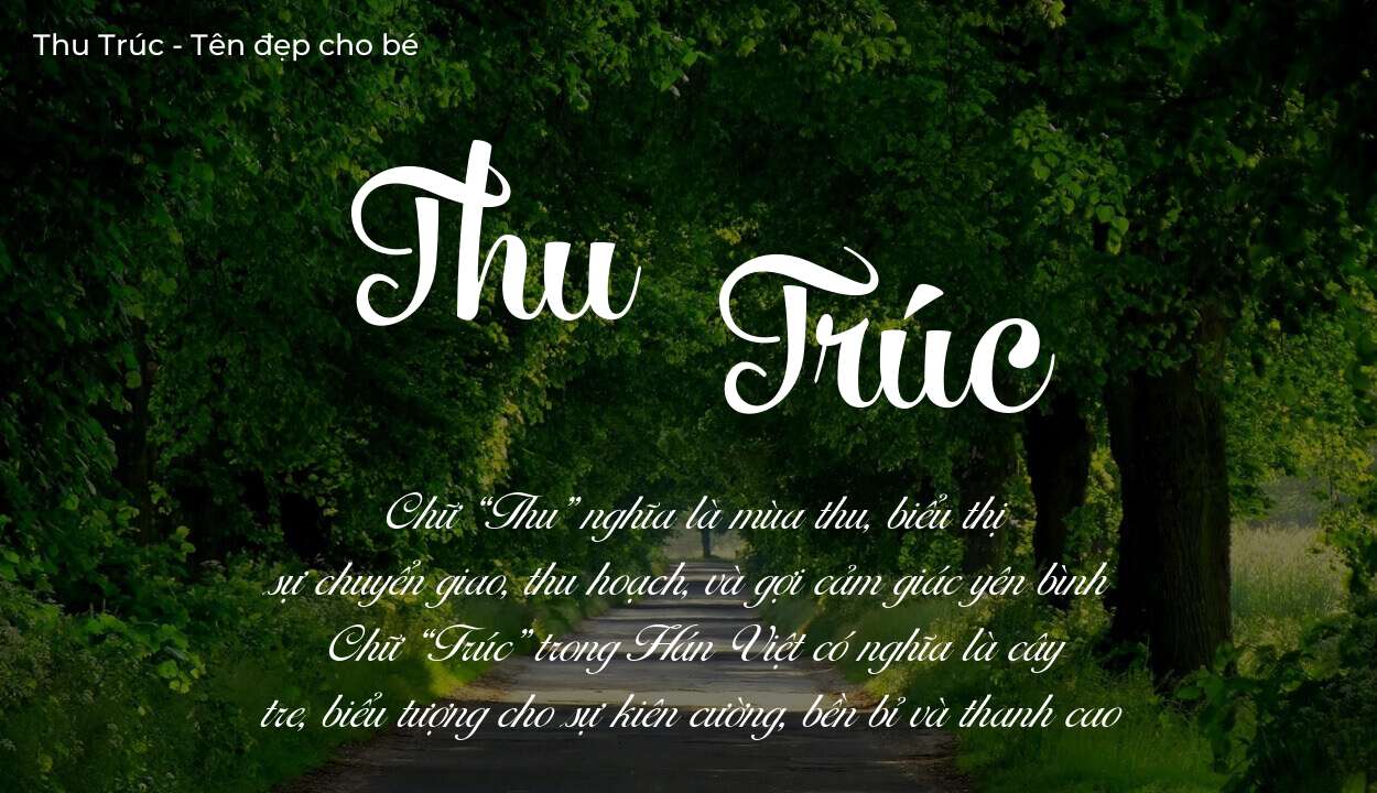 Tên Thu Trúc có ý nghĩa gì? Phân tích tính cách và vận mệnh