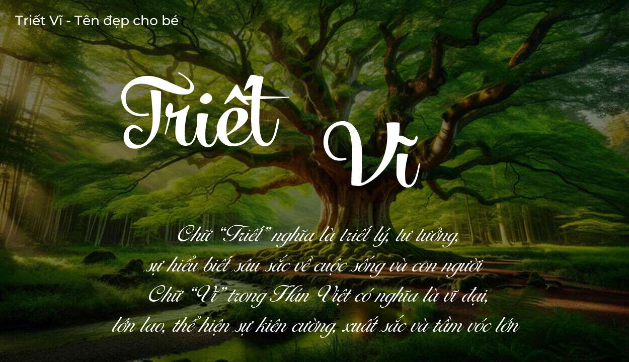 Hé lộ ý nghĩa tên Triết Vĩ, các tích cách ẩn trong tên Triết Vĩ?