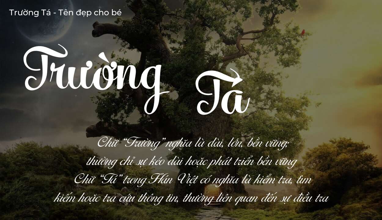 Hé lộ ý nghĩa tên Trường Tá, các tích cách ẩn trong tên Trường Tá?