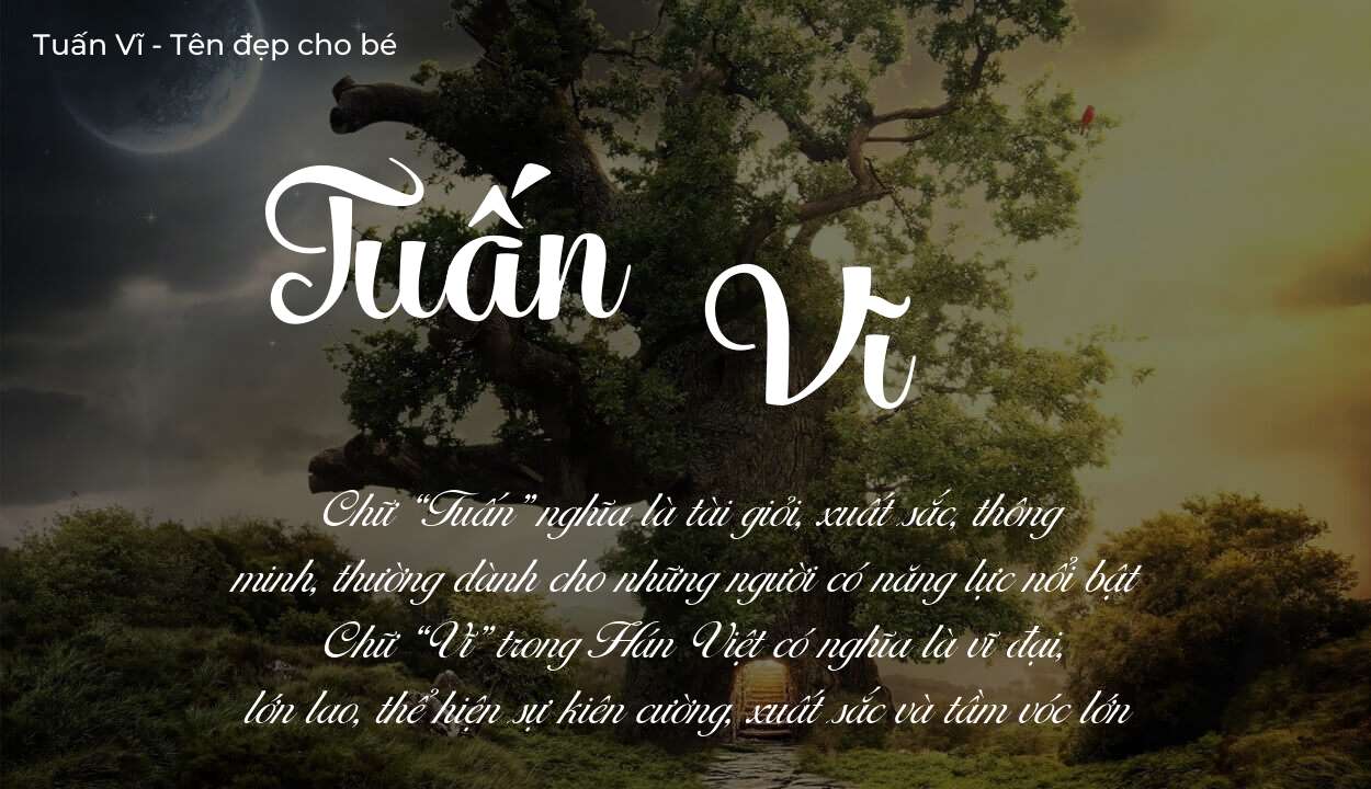 Tên Tuấn Vĩ có ý nghĩa gì? Phân tích tính cách và vận mệnh