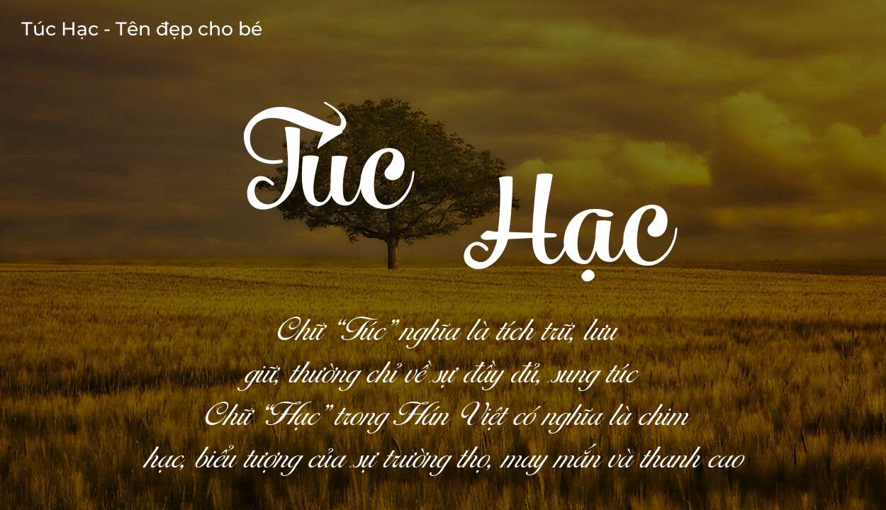 Tên Túc Hạc có ý nghĩa gì? Tên Túc Hạc sẽ phù hợp cho ai?