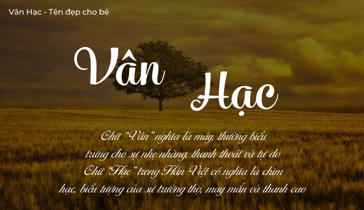 Ý nghĩa tên Vân Hạc là gì? Tên sẽ hợp với người có tính cách thế nào?