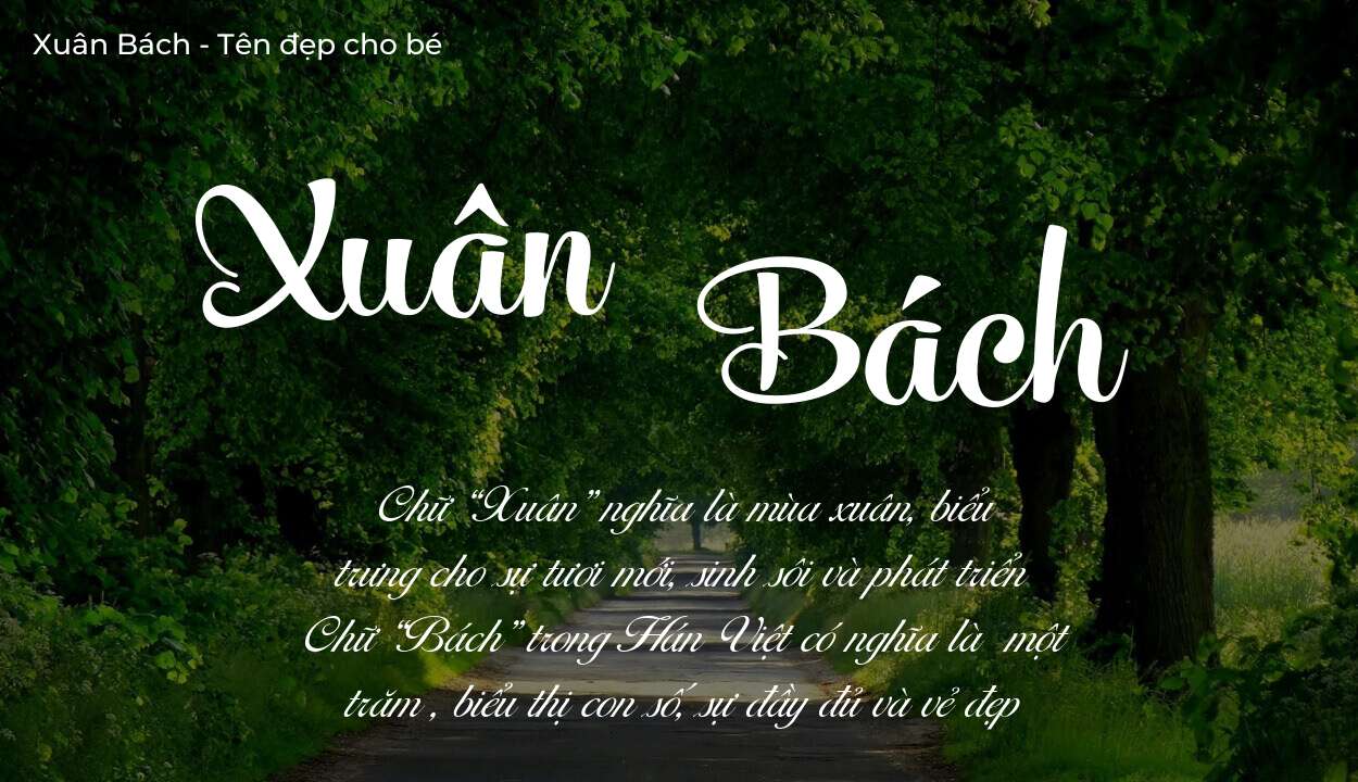 Ý nghĩa tên Xuân Bách, tính cách và vận mệnh của tên Xuân Bách sẽ ra sao?