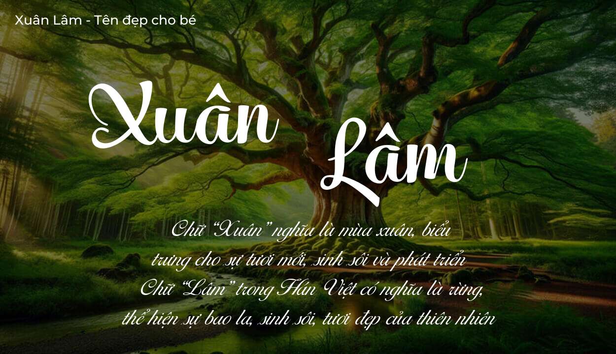 Phân tích tên Xuân Lâm: ý nghĩa tên, tính cách và vận mệnh